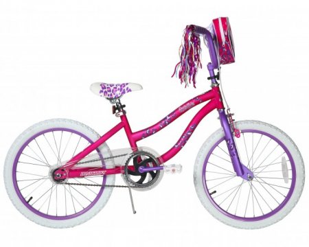 Dynacraft 20 inch Girls Rule Bike for Girls with Handlebar Bag Included, Pink/Purple