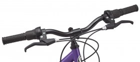 Roadmaster 24" Granite Peak Girls Mountain Bike, Purple