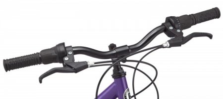 Roadmaster 24" Granite Peak Girls Mountain Bike, Purple